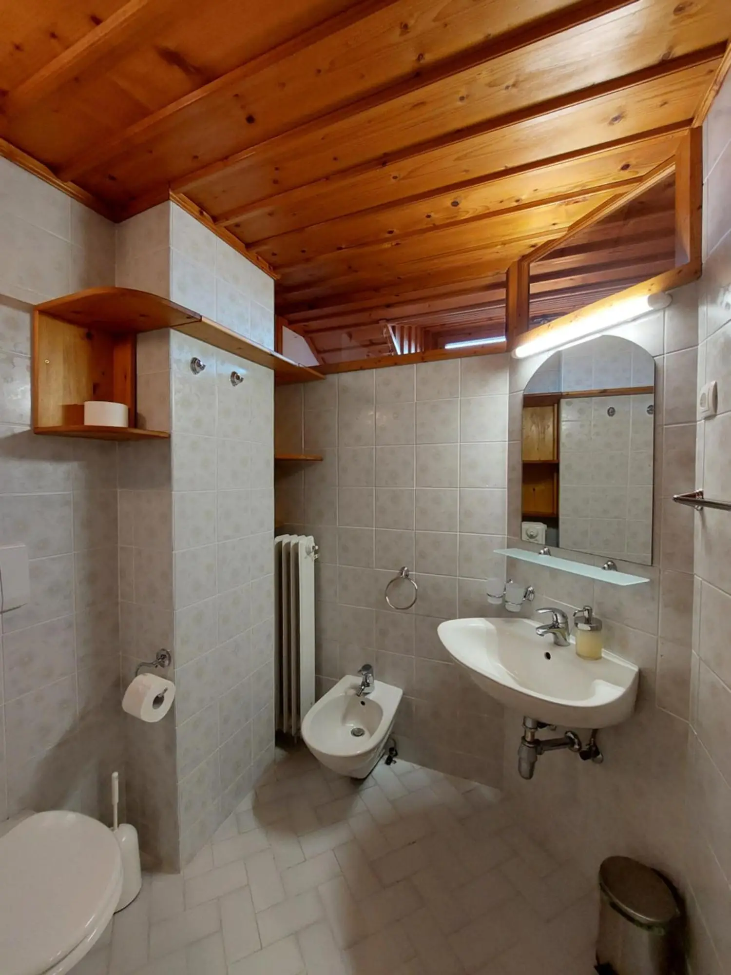 Washbasin and bidet in The Julian Alps bathroom