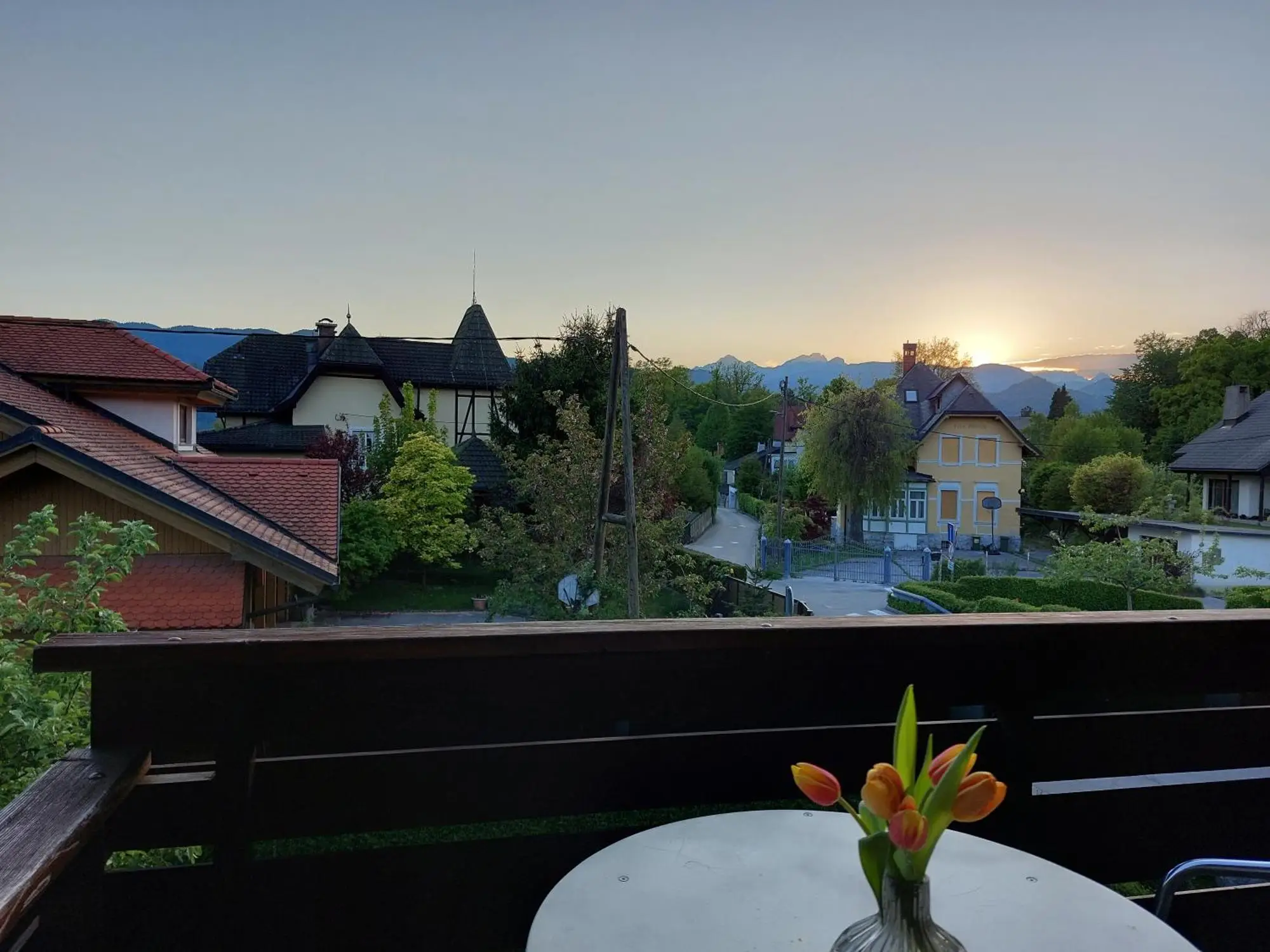 Sunset over the Julian Alps from the balcony, tulips on the table